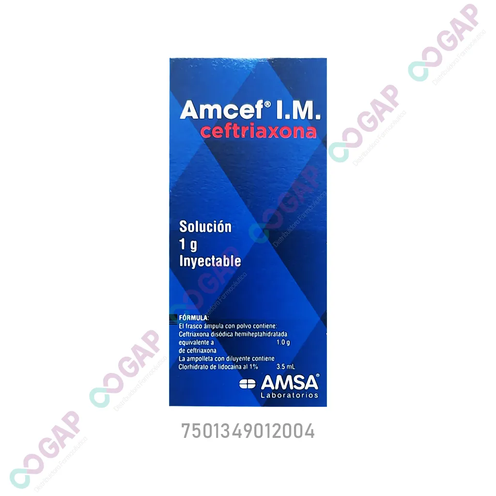 GE CEFTRIAXONA AMCEF 1 G 3.5 ML SOL INY IM