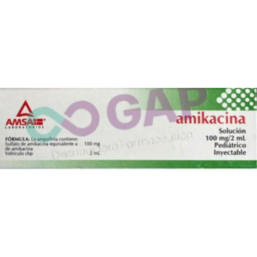 GE AMIKACINA 100 MG 2 AMP INY 2ML