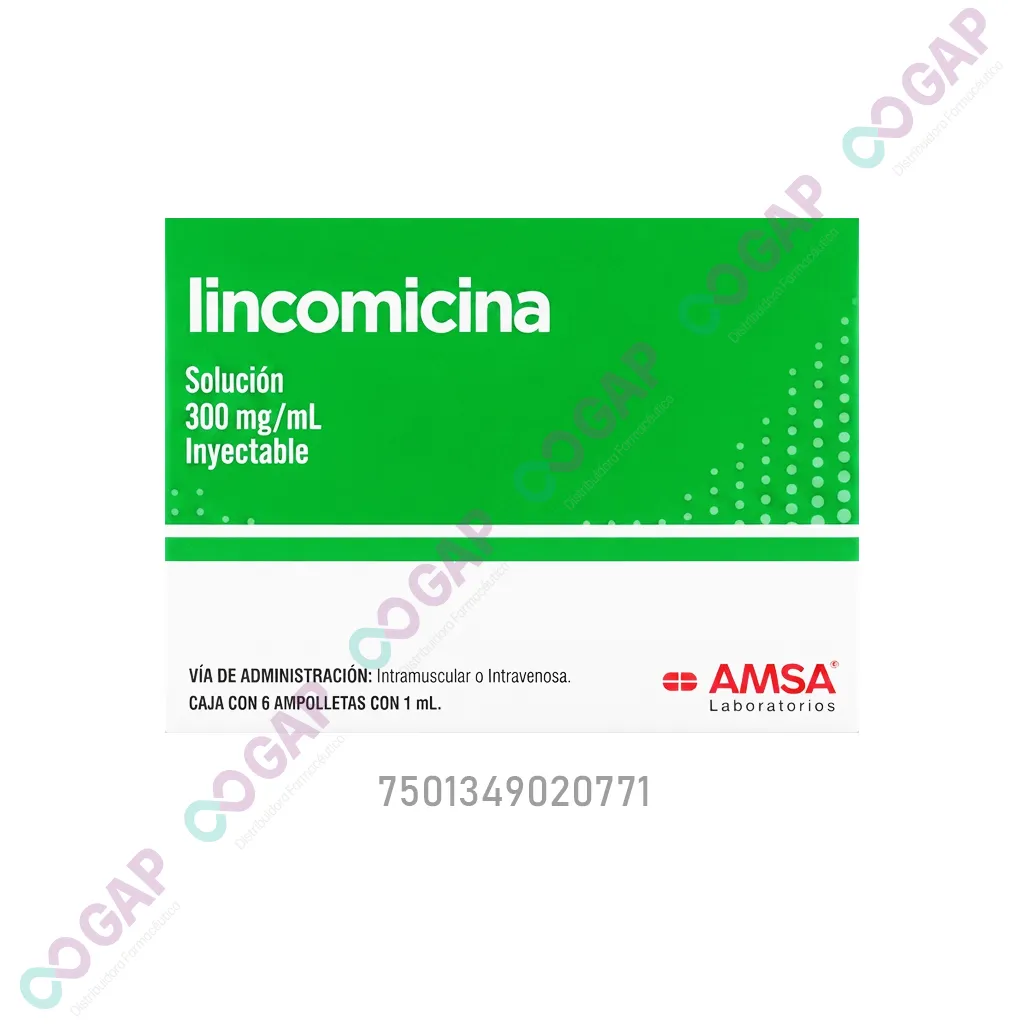 GE LINCOMICINA 300MG/1ML INY 6 AMP AMSA