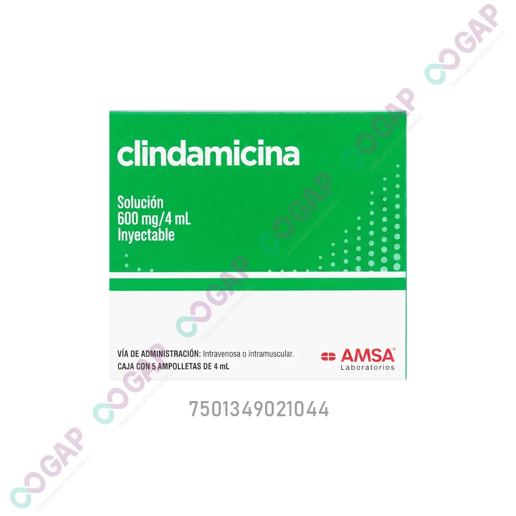 GE CLINDAMICINA 600MG/4ML INY C/5 AMP AMSA