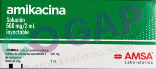 GE AMIKACINA 500 MG 1 AMP INY 2 ML AMSA