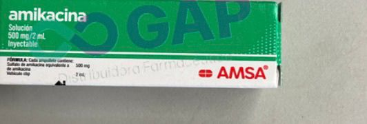 GE AMIKACINA 500 MG 2 AMP INY 2 ML AMSA