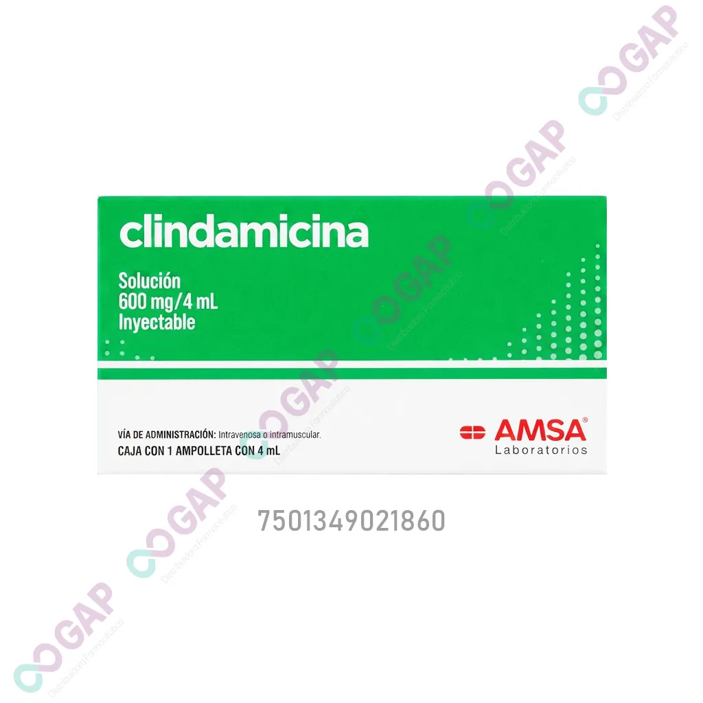 GE CLINDAMICINA AMSA SOL INY 600 MG 1 AMP 4 ML