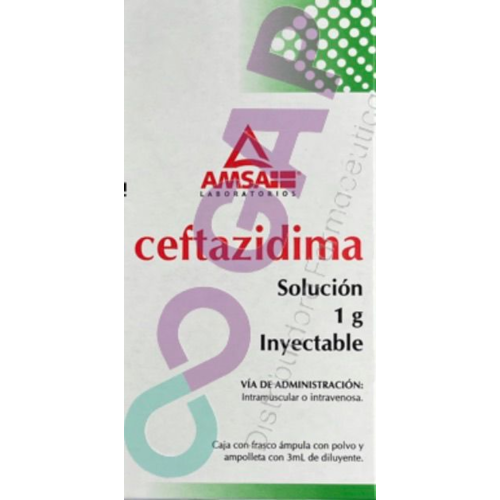 GE CEFTAZIDIMA AMSA SOL INY 1 G AMP 3 ML