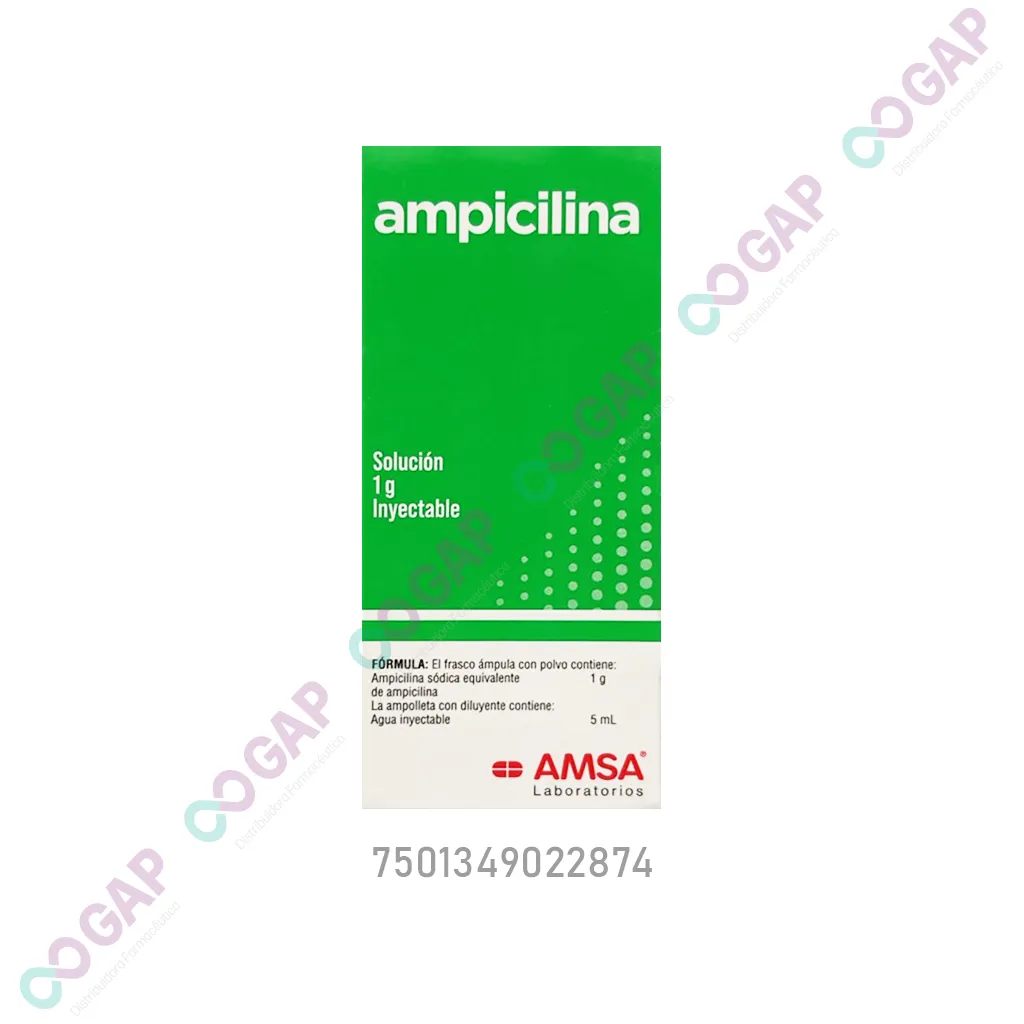 GE AMPICILINA AMSA SOL INY 1 G FCO 5 ML